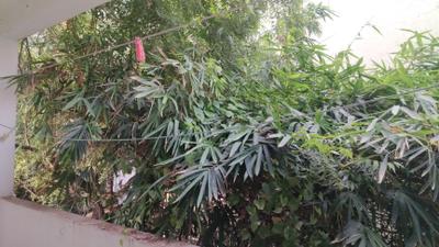 Image of 2000 Sq.ft 3 BHK Apartment / Flat for rent in Masab Tank, Hyderabad for Rs. 39000