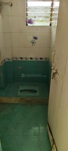 Bathroom Image of 2000 Sq.ft 2 BHK Apartment / Flat for rent in Nikol Royal Revish, Nikol Ahmedabad for Rs. 13000