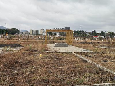 Kala Nagar Plot View 2