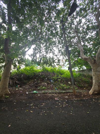 5th Stage Main Image 1