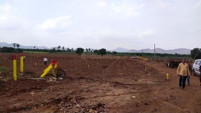 Residential Plot