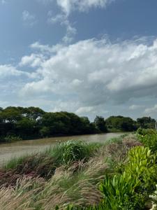 Image of 5000 Sq.ft Residential Plot / Land for sale in Kshipra, Dewas for Rs. 7000000