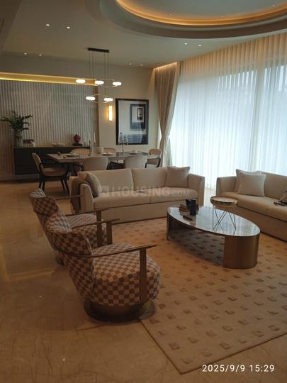 Seventh Stark Torre Main Image 1