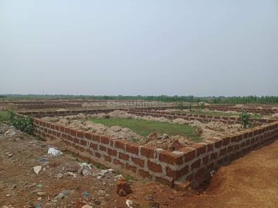 Patrapada Plot View 2