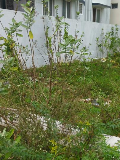 Madha Township Main Image 1