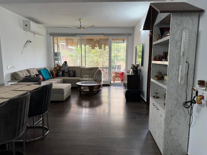 sanjiva orchid Main Image 1