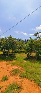 Image of 87120 Sq.ft Residential Plot / Land for sale in Kandukur, Hyderabad for Rs. 37000000