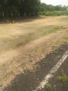 Residential Plot