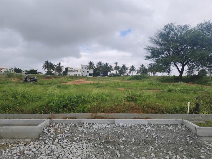 Hoodi Main Image 1