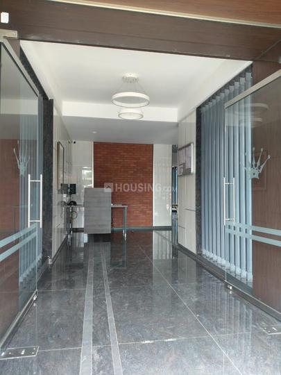 Mohammed Wadi Main Image 1