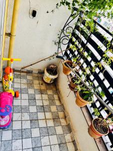 Balcony Image of 630 Sq.ft 2 BHK Apartment / Flat for rent in Rahul Eastview II, Hadapsar Pune for Rs. 19000