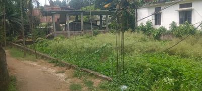 Lichubagan Plot View 1