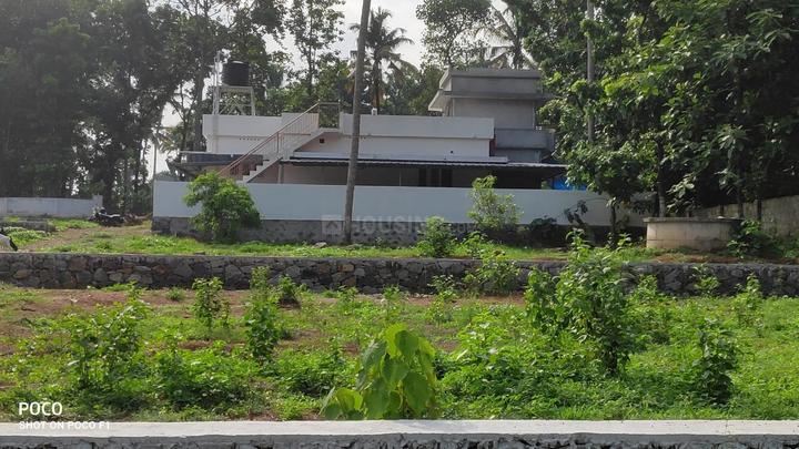 Angamaly Main Image 1