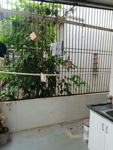 Balcony Image of 1250 Sq.ft 3 BHK Duplex for sale in Waghodia Road Vadodara for Rs. 8000000