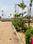 AV residenc Main Image 1