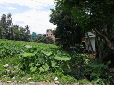 Image of 86400 Sq.ft Residential Plot / Land for sale in Baruipur, Kolkata for Rs. 65000000