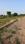 Royale Paradise Greater Noida West Plot View 2