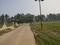 Dkrrish Green Beauty Farms Internal Roads 1