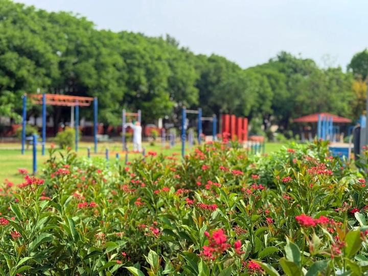 Sector 71 Main Image 1