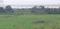 Swastika Nagari Plot View 2