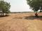 DARSHAN CHETTUKINDI WEST HYDERABAD PROPERTYS Main Image 1