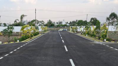 Kodies Paradise Avenue Plot View 3