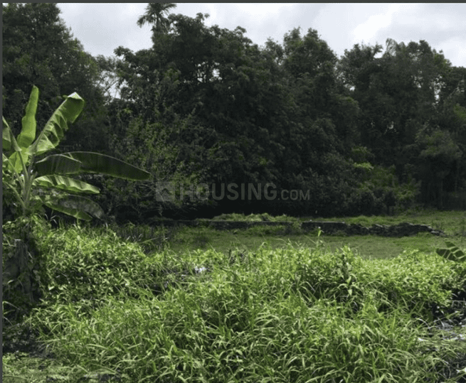 Manjummel, Eloor Main Image 1