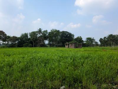 Image of 2160 Sq.ft Residential Plot / Land for sale in Natures Paradise, Joka, Kolkata for Rs. 449999