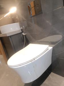 Common Bathroom Image of 710 Sq.ft 1 BHK Apartment / Flat for sale in Mahaavir Exotique Phase II, Taloja Navi Mumbai for Rs. 5200000