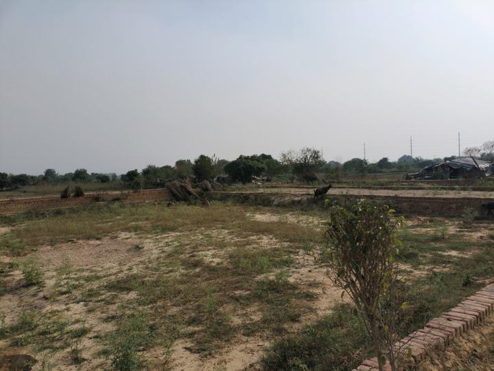 Virasat Royal Paradise Main Image 1