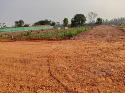 Malipada Plot View 1