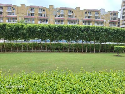 Image of 924 Sq.ft 3 BHK Apartment / Flat for rent in Parker White Lily Residency, Sector 27, Sonipat for Rs. 28000