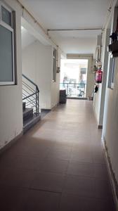 Image of 780 Sq.ft 1 RK Apartment / Flat for rent in SBP Homes Gardenia, Sector 126, Mohali for Rs. 14000