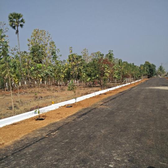 Bhogapuram Real Estates Main Image 1