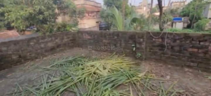 Sarada Palli, Nimta Main Image 1