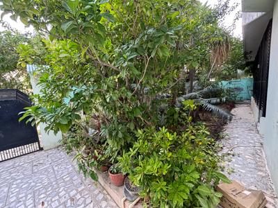 Image of 6000 Sq.ft 7 BHK Villa for sale in Sunderpur, Varanasi for Rs. 130000000