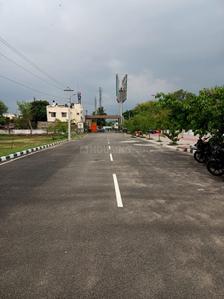 New Market Plot View 1