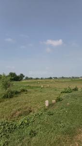 Image of 600 Sq.ft Residential Plot / Land for sale in Naubatpur, Patna for Rs. 959400