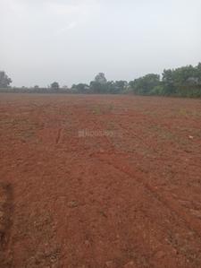 Image of 1200 Sq.ft Residential Plot / Land for sale in Trisulia, Cuttack for Rs. 840000
