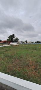 Image of 1350 Sq.ft Residential Plot / Land for sale in Othakalmandapam, Coimbatore for Rs. 990000