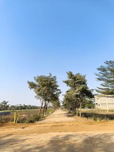 Image of 1000 Sq.ft 3 BHK Independent House for sale in Aranya City Of Woodland Chatoud, Pacheda 1, Raipur for Rs. 2031000
