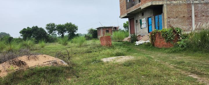 Dafi Main Image 1