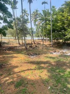 Image of 35000 Sq.ft Residential Plot / Land for sale in Mala, Thrissur for Rs. 9900000