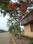 Sanskar Ayodhyapuram  Plot View 2