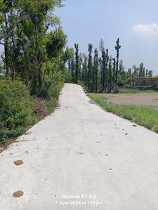 Barasi greens Thano road Dehradun Plot View 2