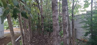 Image of 3761 Sq.ft Residential Plot / Land for sale in Eluvapalli, Hosur for Rs. 12035200