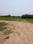 Natures Paradise Internal Roads 1