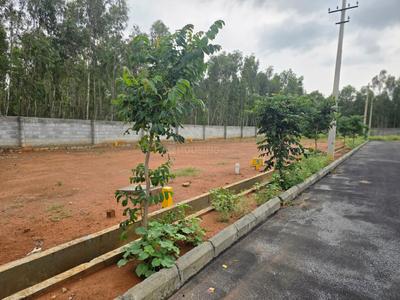 Devanahalli Plot View 2