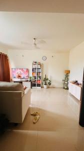 Hall Image of 1100 Sq.ft 2 BHK Apartment / Flat for rent in Clover Common, Viman Nagar Pune for Rs. 45000