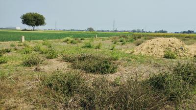 Image of 750 Sq.ft Residential Plot / Land for sale in Chirora, Patna for Rs. 1725000